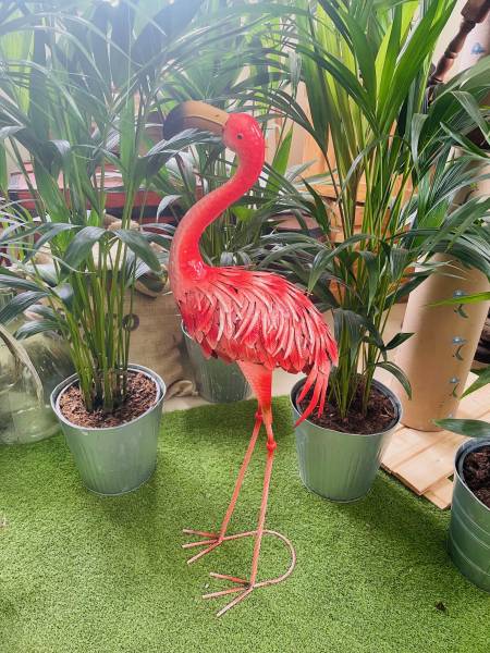 Location de Flamant Rose décoratif