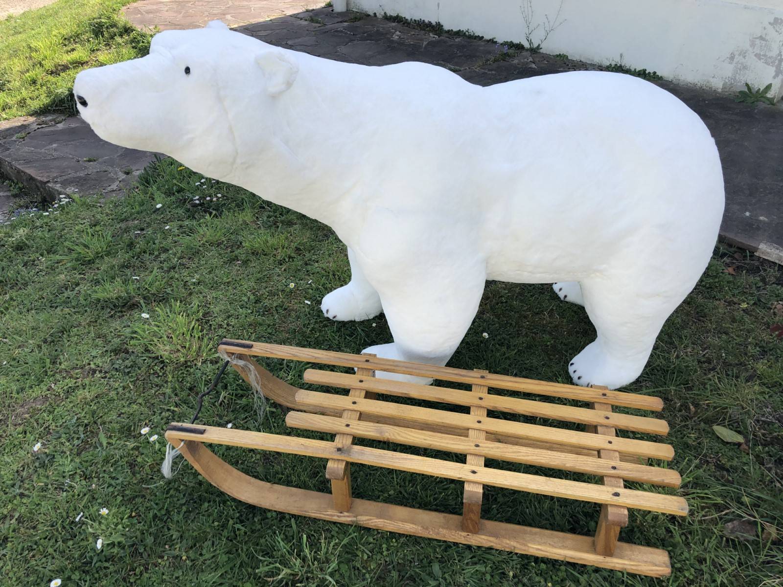 Location d'Ours polaire en fourrure