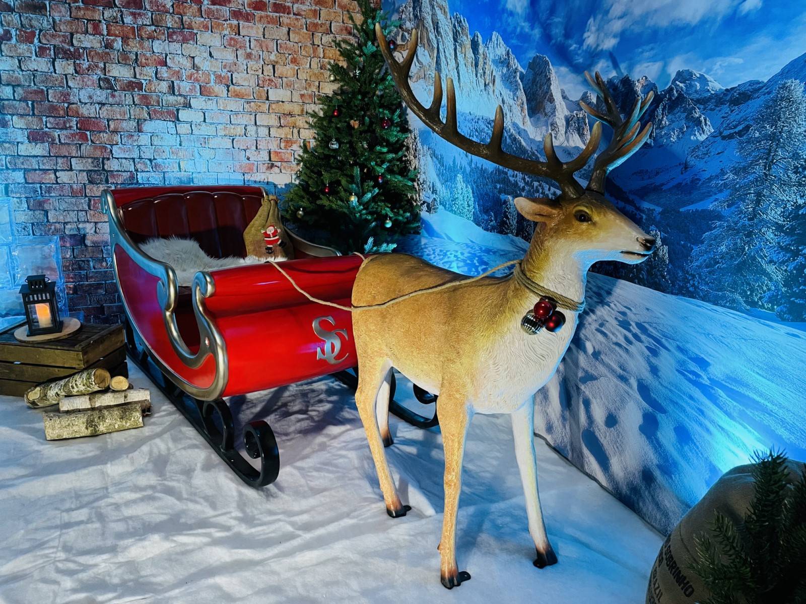 Location de renne cerf traineau de Noel à Paris