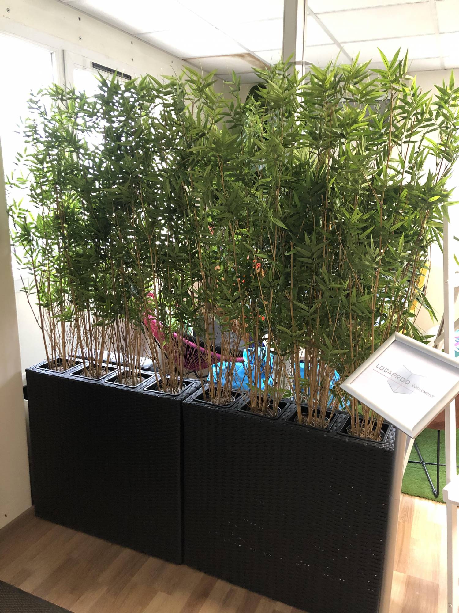 Location de Bambou artificiel 125 cm