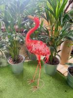 Location de Flamant Rose décoratif