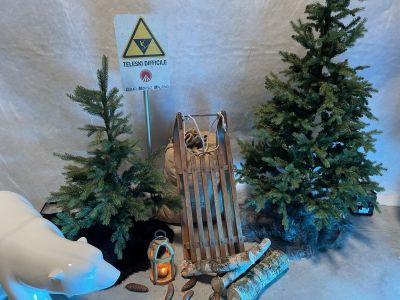 Location de sapin pour vos événements montagnards à Paris