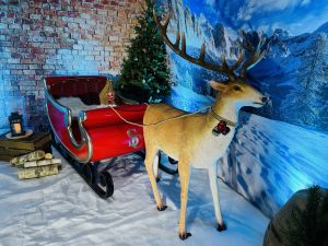 Location de renne cerf traineau de Noel à Paris