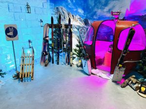 Location de Bloc de glace artificielle GEO BRICK 23