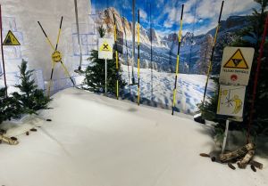 Location de Jalon Bambou Jaune et Noir Piste de Ski