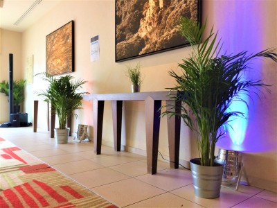 Plante naturelle à la location pour décorations à Paris et île de France