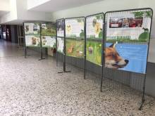Grilles d'exposition pour afficher des visuels pour évènement professionnel à Paris