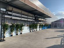 Location de Bambou artificiel 180cm