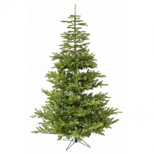 Louer un grand sapin de Noël pour la fin d'année en Ile de France